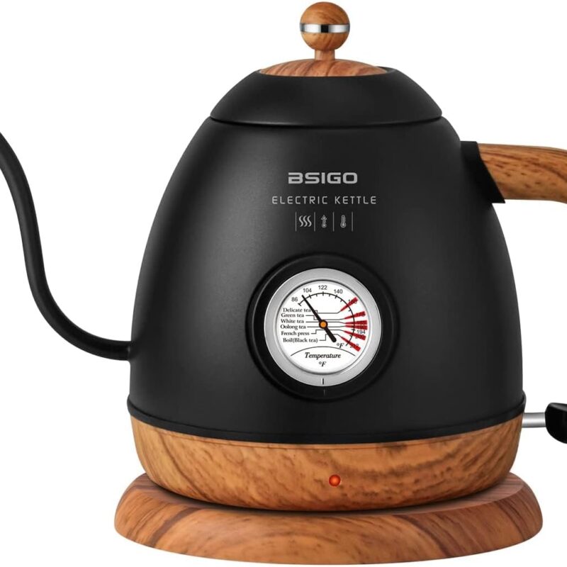Bsigo Chaleira elétrica pescoço de ganso com termômetro, aço inoxidável 100% para servir café e chá